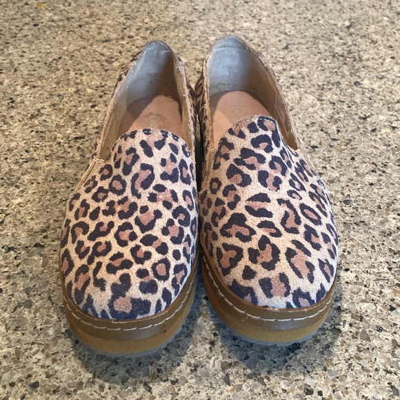 Size 5 Leopard Print TOMS Palma leather wrap slip ons - Picture 2 of 13